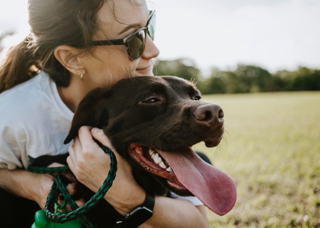 dog hug woman love