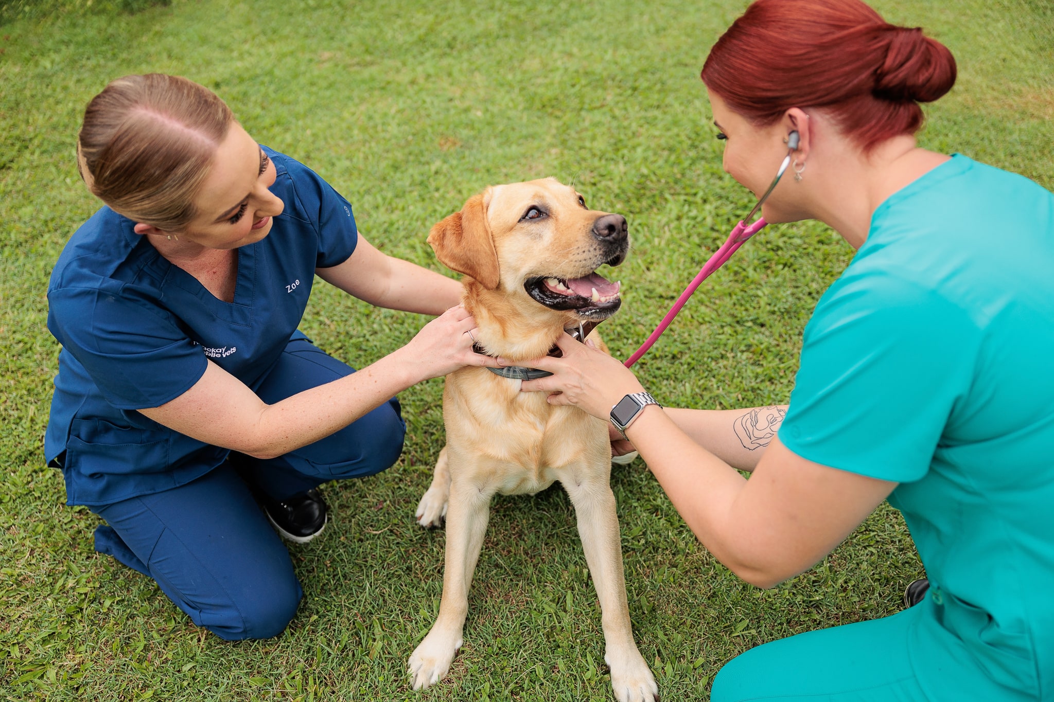 nurse zoe holding labrador