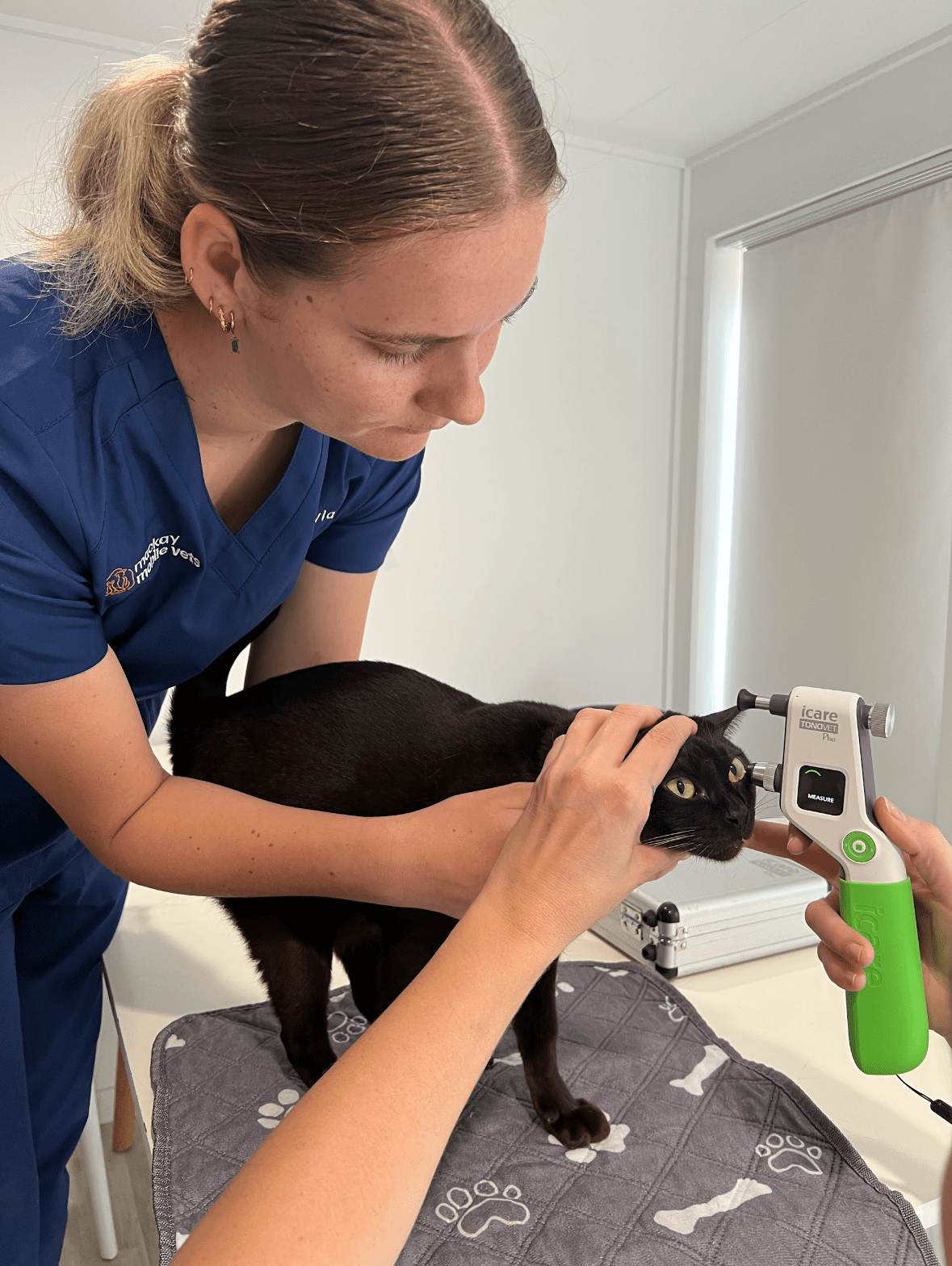 nurse olivia holding cat